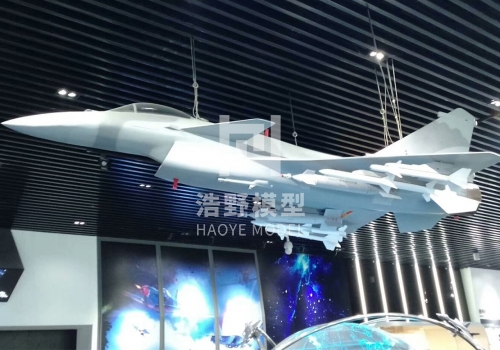 中国歼15战斗机展厅模型